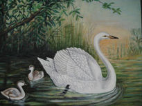 Cisnes en lago