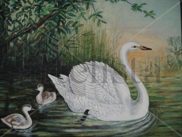 Cisnes en lago Oil Canvas Landscaping