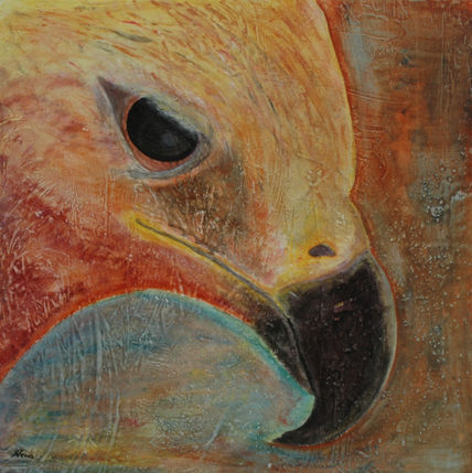 Aguila