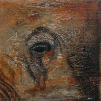 Mirada del elefante