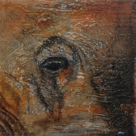 Mirada del elefante 