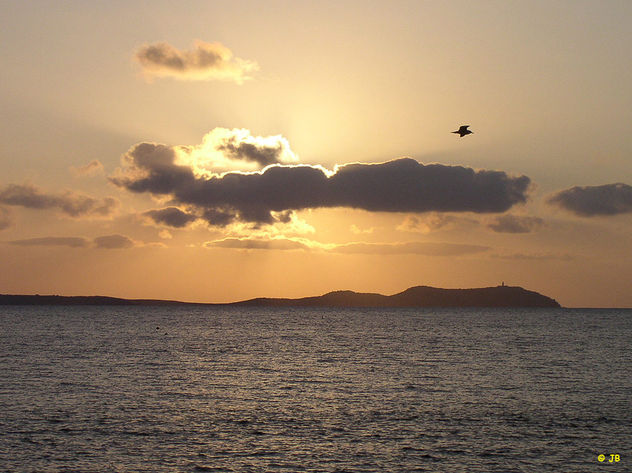 late afternoon...