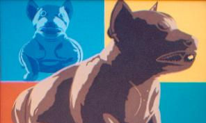Perros y Otros Animales llevados al Pop