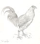 señorio