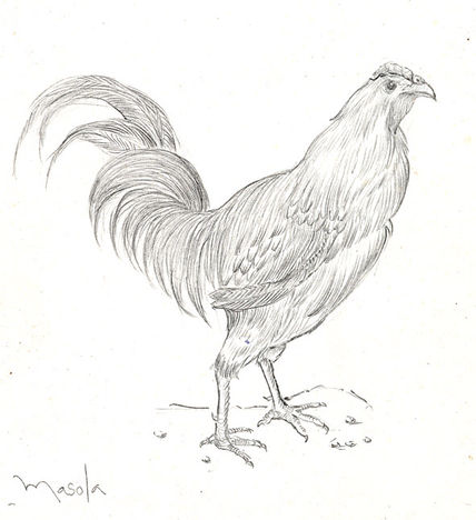 Señorio