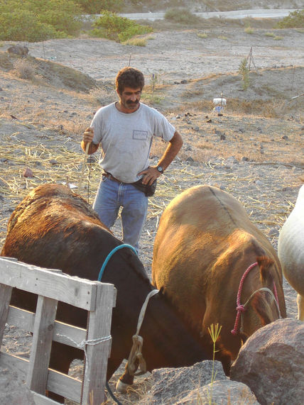 Hombre del campo