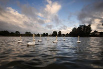 Cork Lough