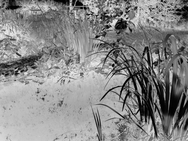 Paisaje onirico n.4
