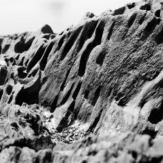 Textura 1 B&N Naturaleza Blanco y Negro (Digital)