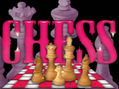 the chess