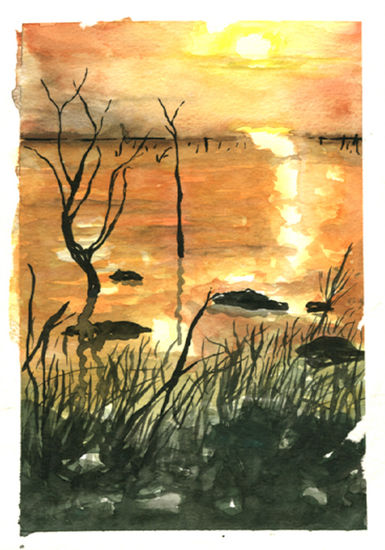 Lago Enriquillo Watercolour Others Landscaping