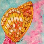 mariposas thumbnail 1