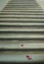 escalera al cielo