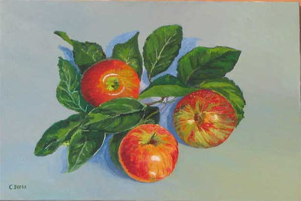 Manzanas de mi huerto