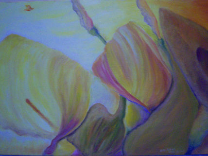 Calas en color
