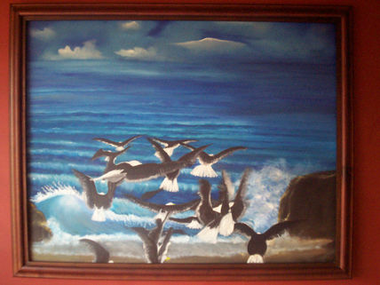 Gaviotas