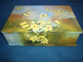 cajas con mariposas