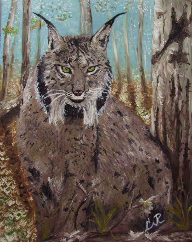 lince