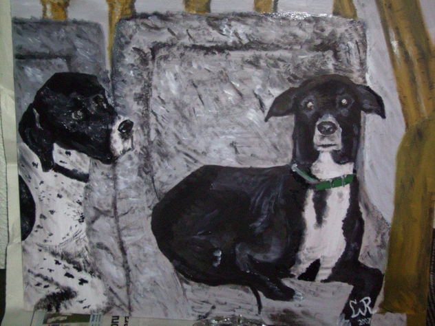perros sofá