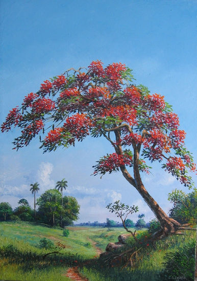 Framboyan Oil Canvas Landscaping