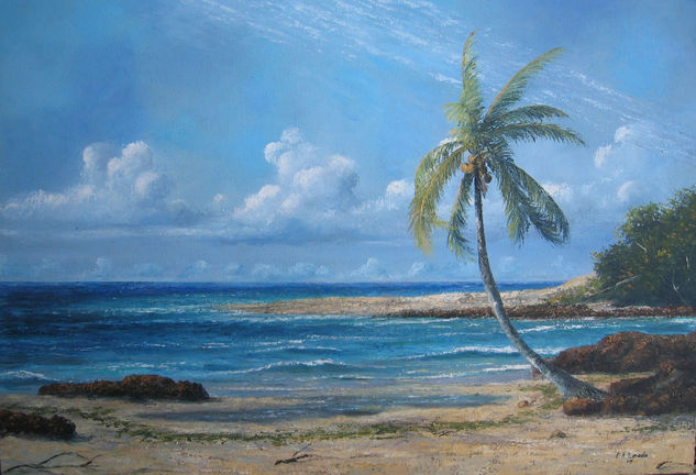 Marina con cocoteros Oil Canvas Landscaping