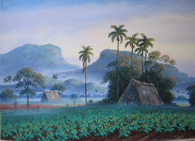 Vega de Tabaco Oil Canvas Landscaping