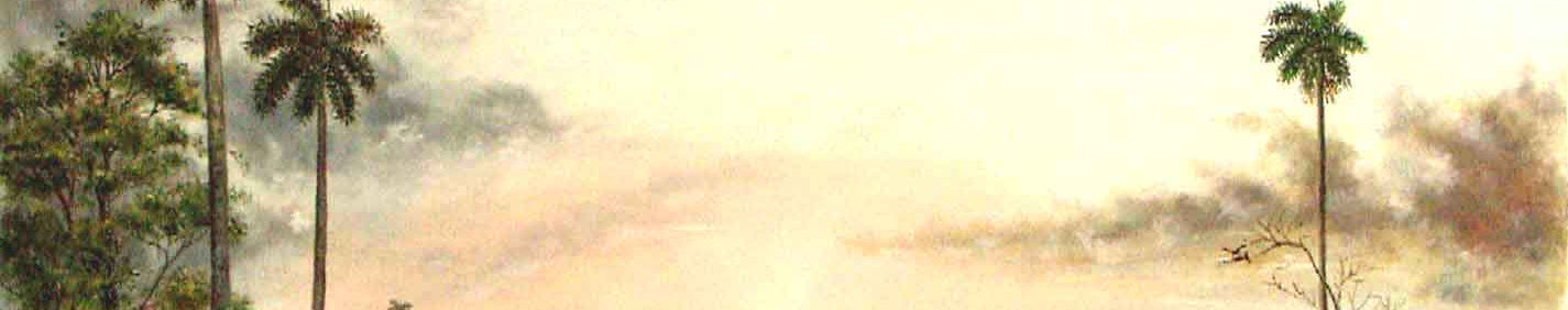 Imagen de portada