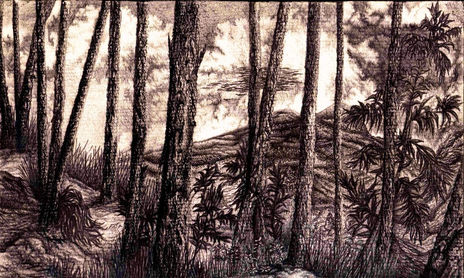 Dibujos
