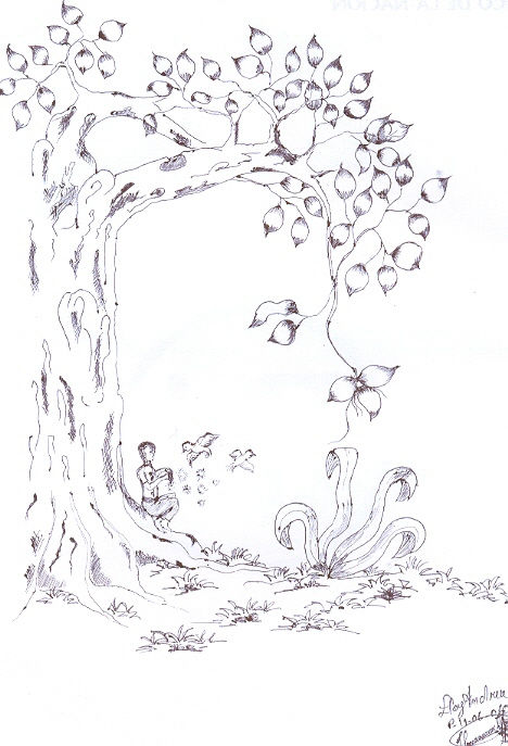 rostro en el arbol