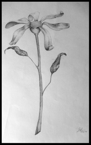 Flor Pencil