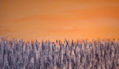 paisaje