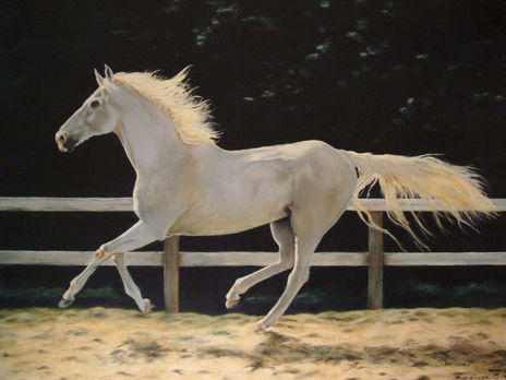 Caballo galopando