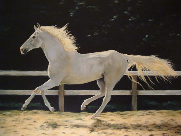 Caballo galopando Oil Canvas Animals