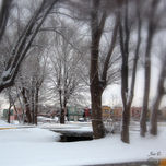 Colección La Nevada thumbnail 2