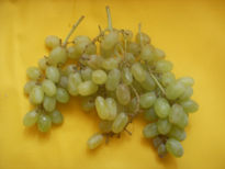 Uvas