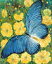 MARIPOSA Nº 2