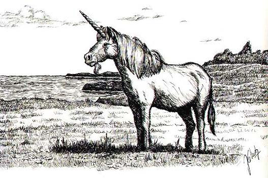 "Unicornio en la pradera". 