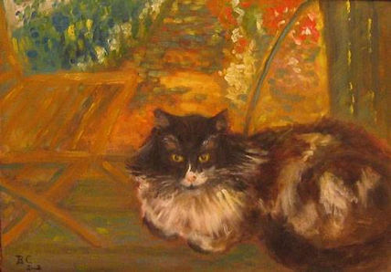 Gato