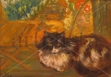 Gato