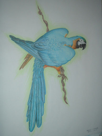 Azul