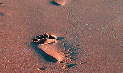 playa