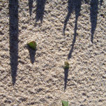 playa thumbnail 2