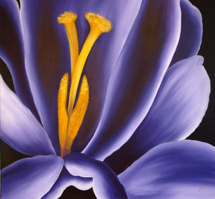 Close Up de Tulipan