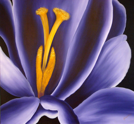 Close Up de Tulipan