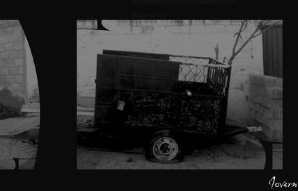 Abandono