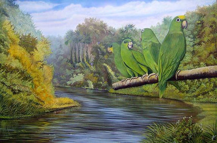 Caño Ibaruma