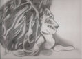 El Rey Leon