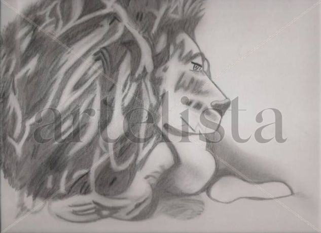 El Rey Leon Charcoal