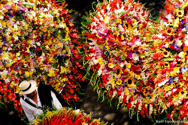 Feria de Flores 