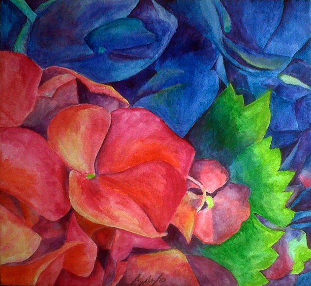 hortensia magenta